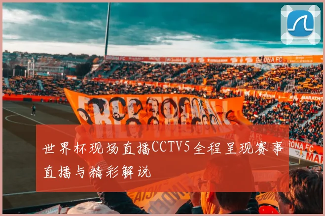 世界杯现场直播CCTV5全程呈现赛事直播与精彩解说