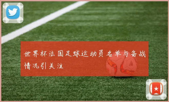 世界杯法国足球运动员名单与备战情况引关注
