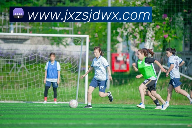 mksports官方网站登录入口平台生态图