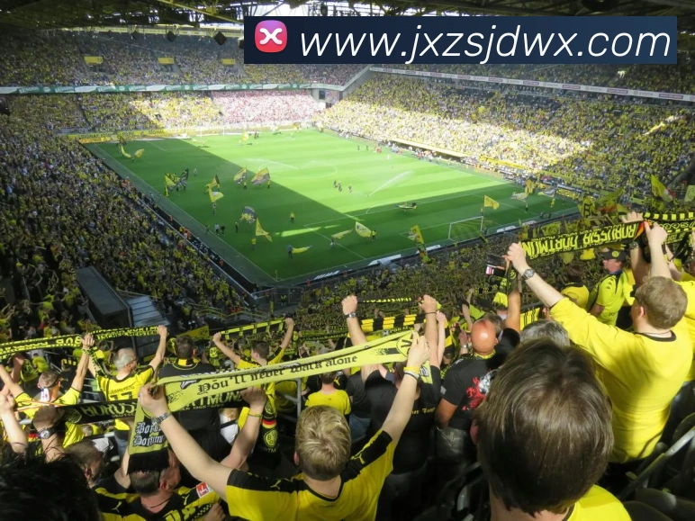 mksports官方网站登录入口APP 封面图